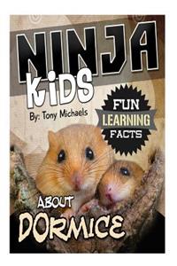 Fun Learning Facts about Dormice: Illustrated Fun Learning for Kids