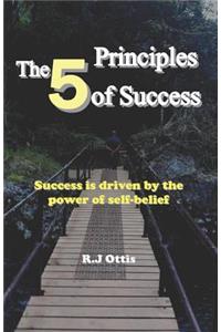 The 5 Principles of Success