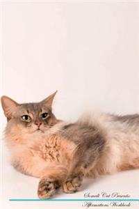 Somali Cat Affirmations Workbook Somali Cat Presents