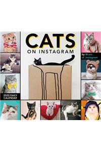 2020 Cats on Instagram Boxed Daily Calendar