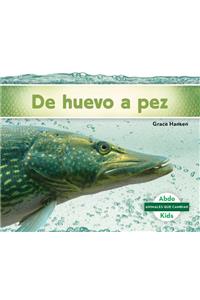 De Huevo a Pez / Becoming a Fish