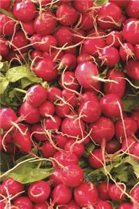 The Radishes Journal