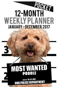 2017 Pocket Weekly Planner - Most Wanted Poodle
