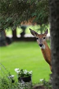 Such a Cute Deer Peeking Around a Tree in the Park Journal