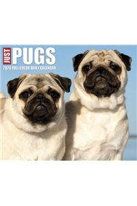 Just Pugs 2020 Box Calendar (Dog Breed Calendar)