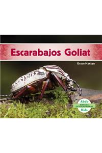 Escarabajos Goliat (Goliath Beetles) (Spanish Version)