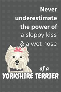 Never underestimate the power of a sloppy kiss & a wet nose of a Yorkshire Terrier