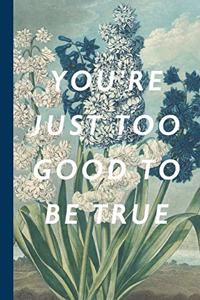You're Just Too Good To Be True