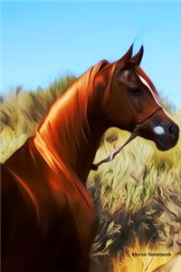 Horse Notebook