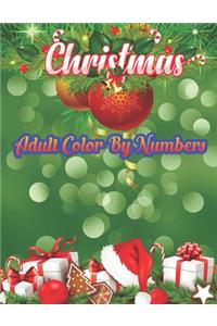 Christmas Adult Color By Numbers