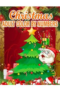 Christmas Adult Color By Numbers