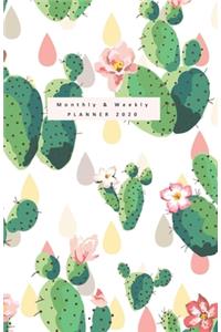Monthly & Weekly Planner 2020