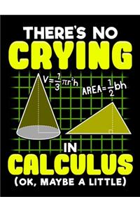 There's No Crying In Calculus (OK, Maybe A Little)