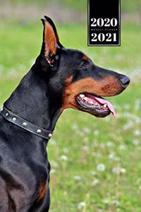 Doberman Dog Calendar Week Planner 2020 / 2021 - Dreamy Look