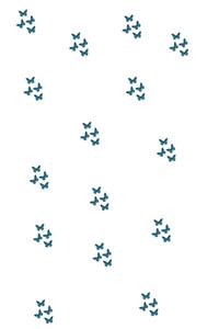 The Butterfly Series