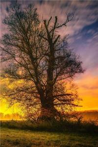 Lone Tree Notebook