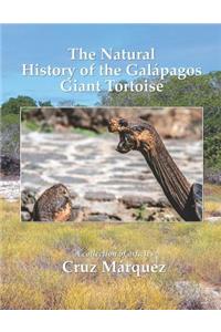 Natural History of the Galapagos Giant Tortoise