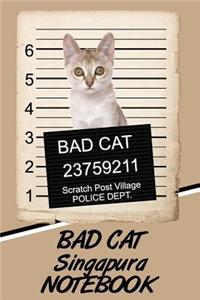Bad Cat Singapura Notebook