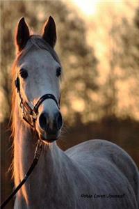 Horse Lover Journal: Organizer Note Book for Horse Lovers