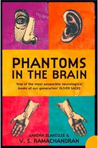 Phantoms in the Brain