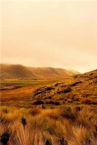 Ecuador Travel Journal