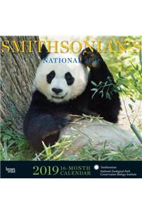 Smithsonian National Zoo 2019 Square Hachette