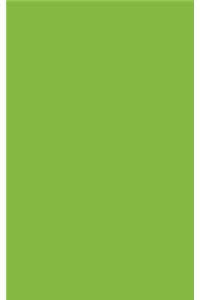 Lime Green 101 - Lined with Margins Notebook (Narrow)