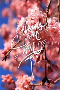 Dreams come true