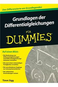 Grundlagen der Differentialgleichungen fur Dummies