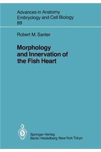 Morphology and Innervation of the Fish Heart