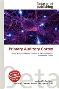 Primary Auditory Cortex