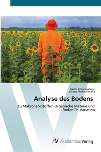 Analyse des Bodens