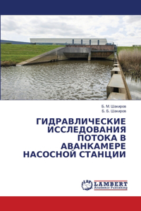 ГИДРАВЛИЧЕСКИЕ ИССЛЕДОВАНИЯ ПОТОКА В АВ