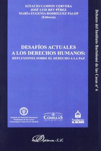 Desafios Actuales a Los Derechos Humanos: Reflexiones Sobre El Derecho a la Paz