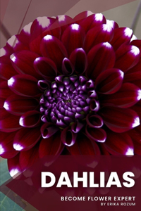 Dahlias