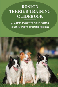 Boston Terrier Training Guidebook