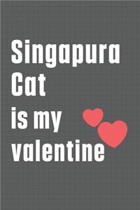 Singapura Cat is my valentine
