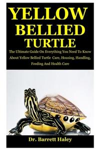 Yellow Bellied Turtle