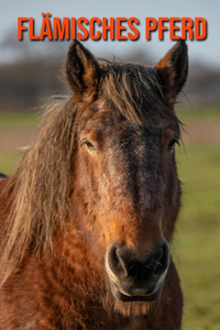 Flämisches Pferd