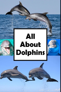 All About Dolphins