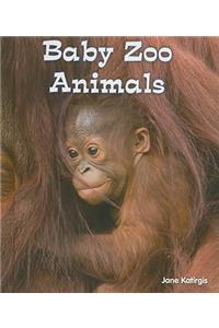 Baby Zoo Animals