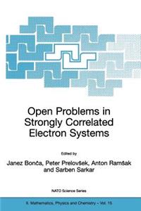 Open Problems in Strongly Correlated Electron Systems