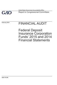 Financial Audit