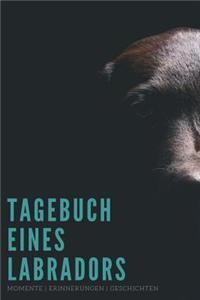 Tagebuch eines Labradors Momente Erinnerungen Geschichten