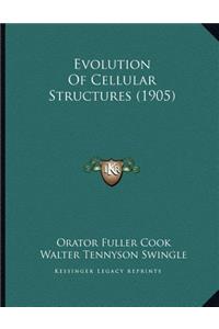 Evolution Of Cellular Structures (1905)