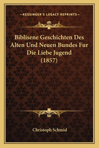Biblisene Geschichten Des Alten Und Neuen Bundes Fur Die Liebe Jugend (1857)