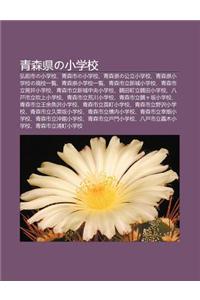 Q Ng S N Xianno XI O Xue Xiao: Hong Qian Shino XI O Xue Xiao, Q Ng S N Shino XI O Xue Xiao, Q Ng S N Xianno G Ng Li XI O Xue Xiao