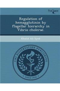 Regulation of Hemagglutinin by Flagellar Hierarchy in Vibrio Cholerae