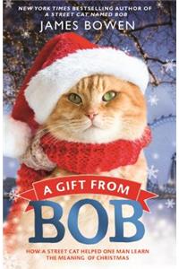 A Gift from Bob
