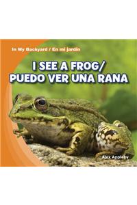 I See a Frog / Puedo Ver Una Rana